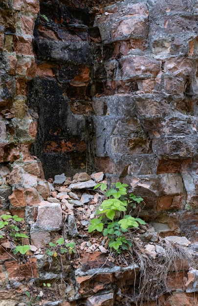 Opuszczony Fort Wojskowy Tarakanów inne nazwy Fort Dubno Nowa Twierdza Dubna obiekt obronny zabytek architektury XIX w. Tarakanów obwód rówieński Ukraina