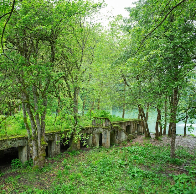 Opuszczony park w pobliżu jeziora Riza. Abchazja.