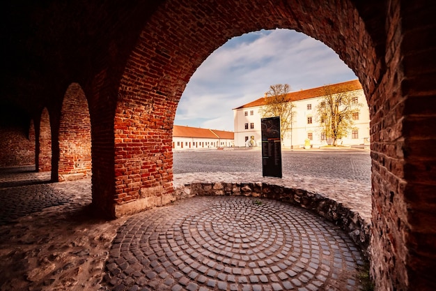 Oradea Rumunia z fortecą znaną również jako Nagyvarad i w tle Catedrala Episcopala invierea Domnului Zachodnia Transylwania w Rumunii