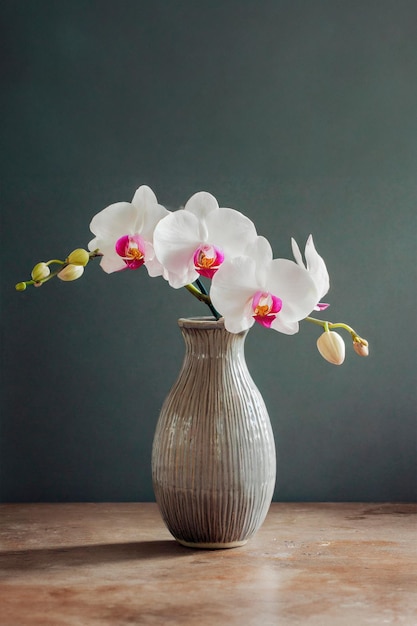 Orchideja w pięknym wazonie do dekoracji domu i biura