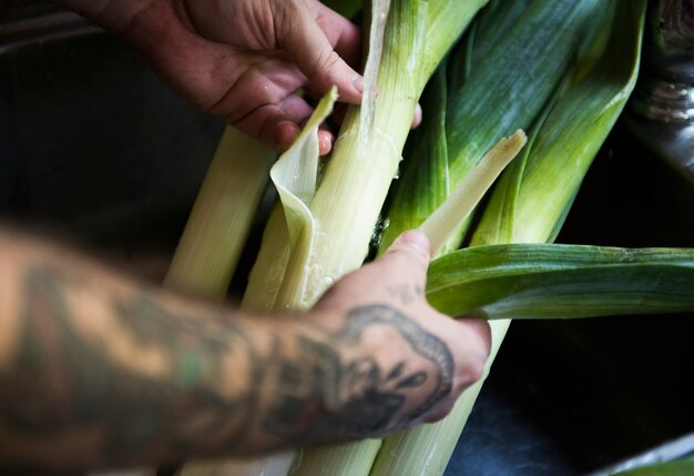 Organic Leeks Food Recipe Idea