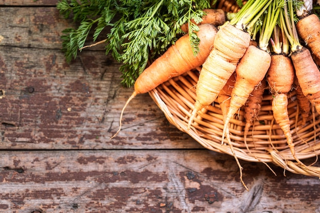 Zdjęcie organiczne marchewki na wiklinowej tacy, widok z góry na drewnianym ciemnym tle. rustykalny naturalny styl. kopia przestrzeń