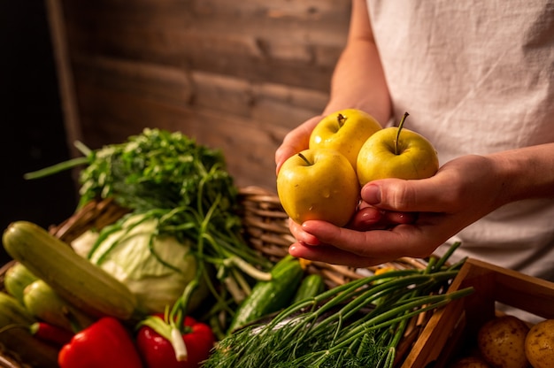 Organiczne Warzywa Rolnicy Ręce Ze świeżo Zebranymi Jabłkami świeże Organiczne Jabłka Rynek Owoców I Warzyw