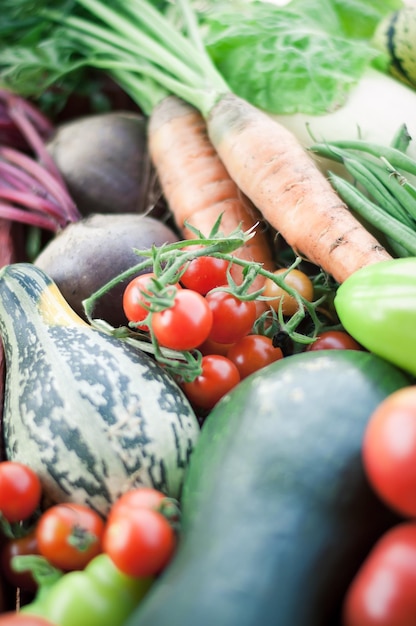 organiczne zbiory warzyw koncepcja ekologicznego rolnictwa
