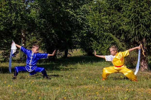 Orientacyjna pozycja Wushu, dwóch chłopców.