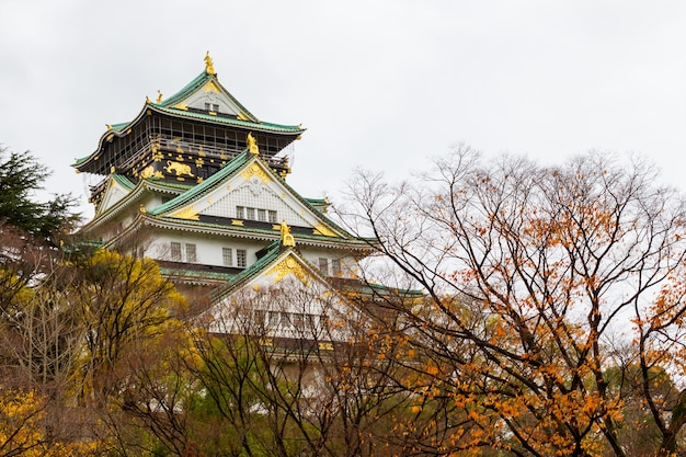 Zdjęcie osaka kasztel przy osaka kasztelu parkiem japonia