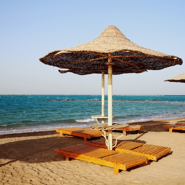 Zdjęcie ośniedziałe teksturowane parasole na pustej plaży rano