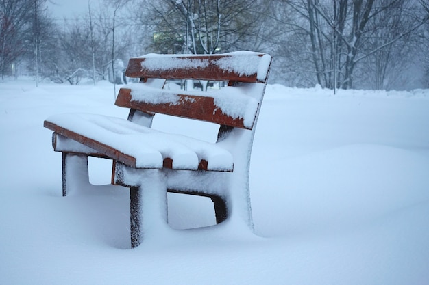 Ośnieżona ławka w zimowym parku