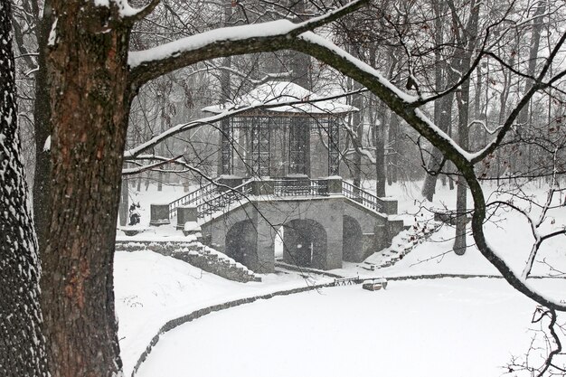 Ośnieżony Most