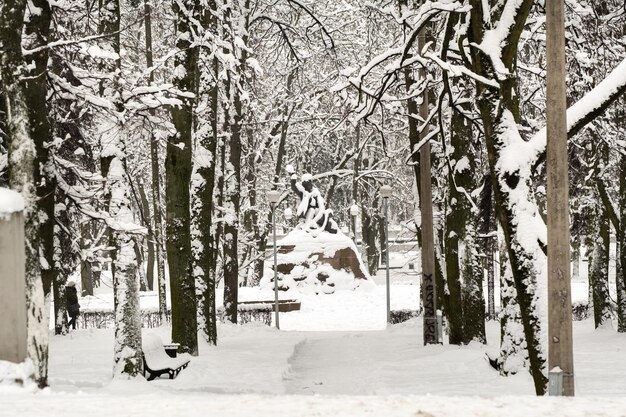 Ośnieżony park w centrum Mińska. Białoruś Europa Wschodnia