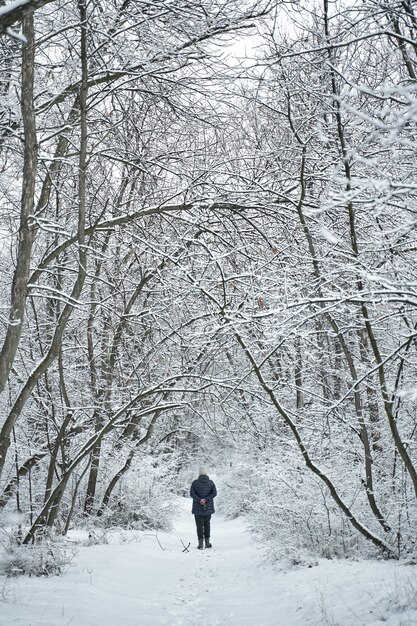 Osoba idąca w białym śniegu pokrytym lasem.