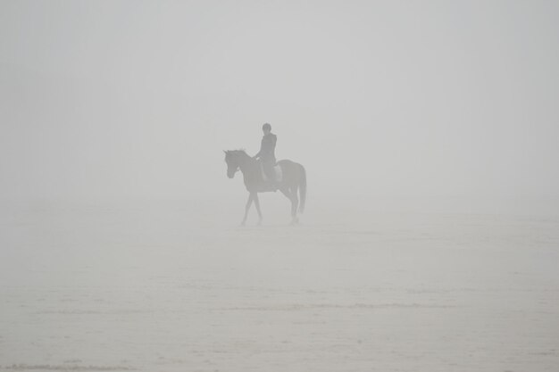 Zdjęcie osoba na koniu w mgle