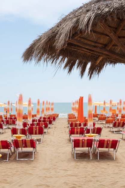 Ośrodek na plaży z leżakami i parasolami plażowymi