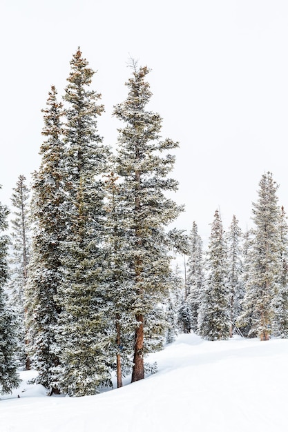 Ośrodek narciarski pod koniec sezonu po burzy śnieżnej w Kolorado.