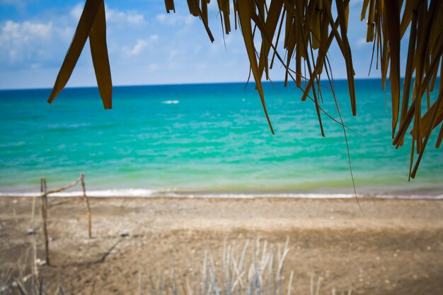 Ośrodek Tbeach