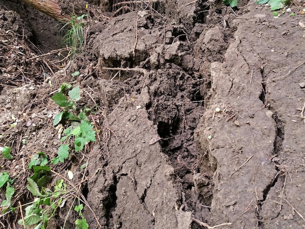 Osuwiska ziemia się osunęła