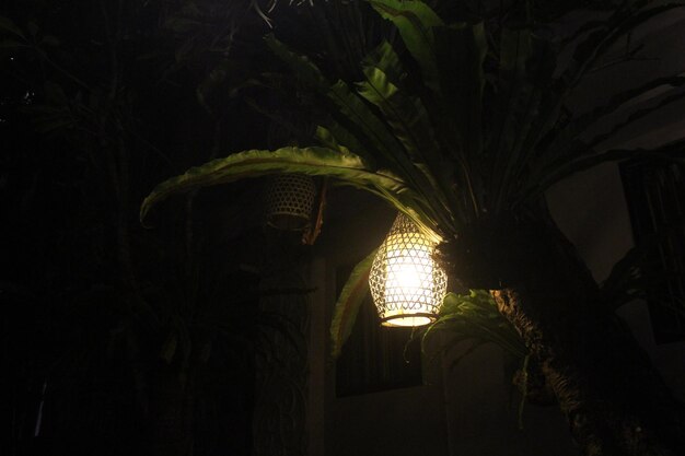 oświetlenie ogrodu w nocy