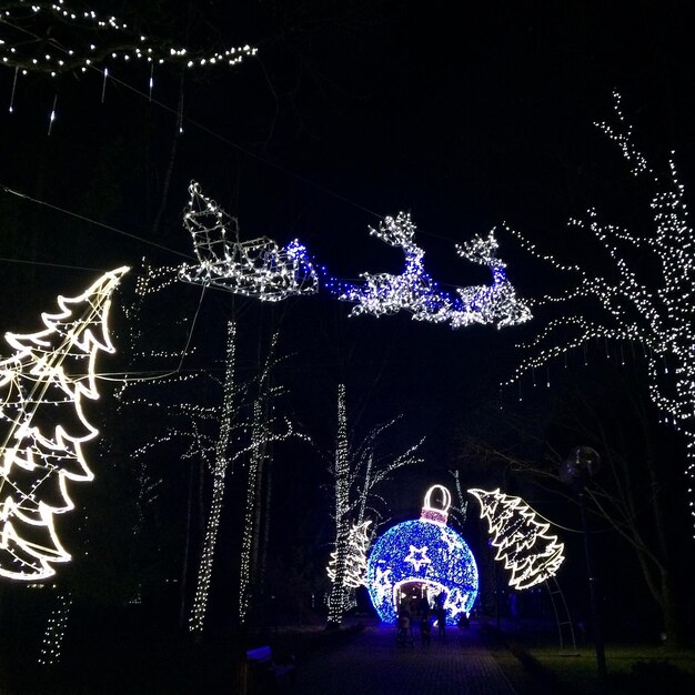 Oświetlone świąteczne światła w parku w nocy