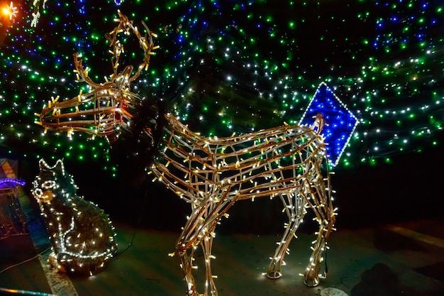 Oświetlony Boże Narodzenie jelenia w nocy. Ozdoba na święta Bożego Narodzenia i Nowego Roku w miejskim parku