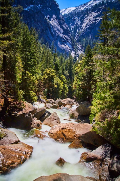 Oszałamiające góry w dolinie Yosemite z kaskadową rzeką i żywymi lasami