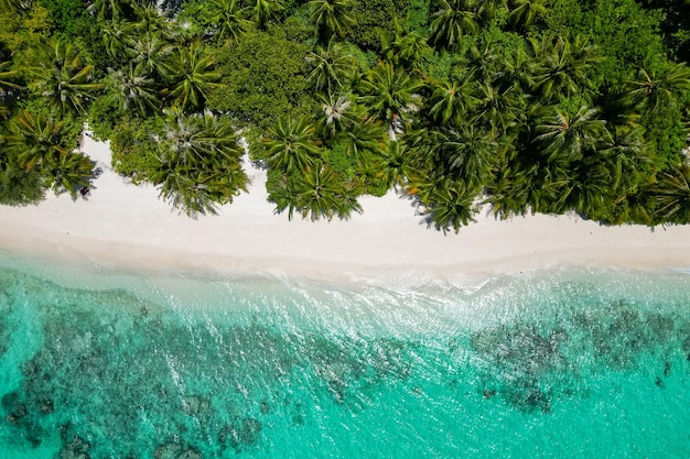 Oszałamiający niebieski ocean i piaszczysta biała wyspa malediwy górny dron widok z lotu ptaka opuszczone ukryte malediwy plaża copyspace dla tekstu