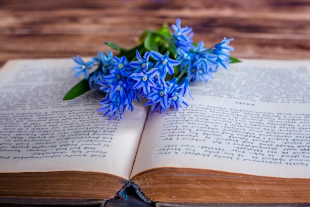 Zdjęcie otwarcie książki i kwiaty na drewnianym tle