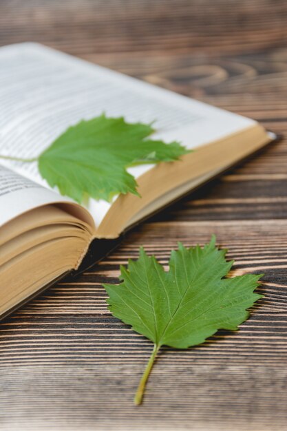 Zdjęcie otwarta książka na drewnianym biurku z jesień liśćmi zamyka up.