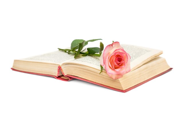 Zdjęcie otwarta książka z różową różą na białym tle