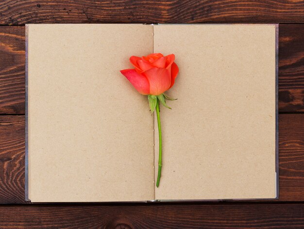 Otwarty dziennik z pustymi stronami i delikatną różą