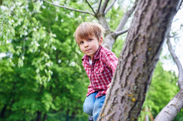 Outdoors portret śliczna preschool chłopiec wspina się drzewa