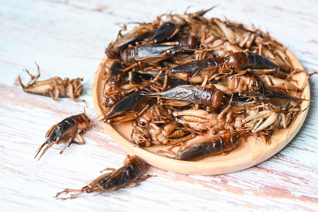 Owad krykieta na tle drewnianego talerza Owad krykieta związany z konikami polnym do jedzenia w Azji