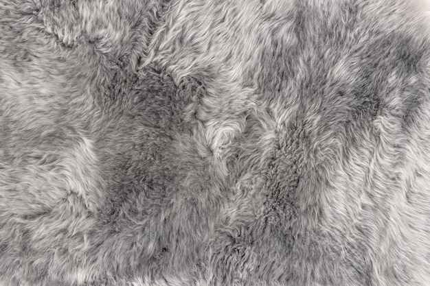 Zdjęcie owcze futro. dywan naturalny szary kożuch tło. tekstura wełny