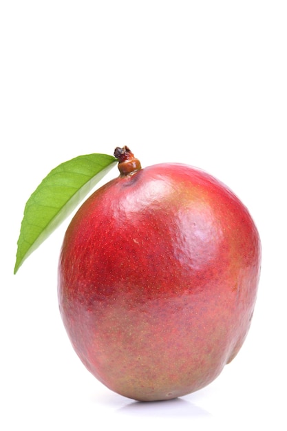Owoc mango na białym tle