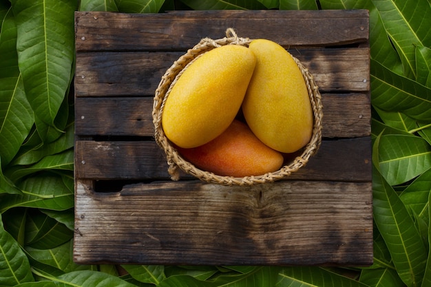 Owoc mango w koszu na stole z zielonym liściem