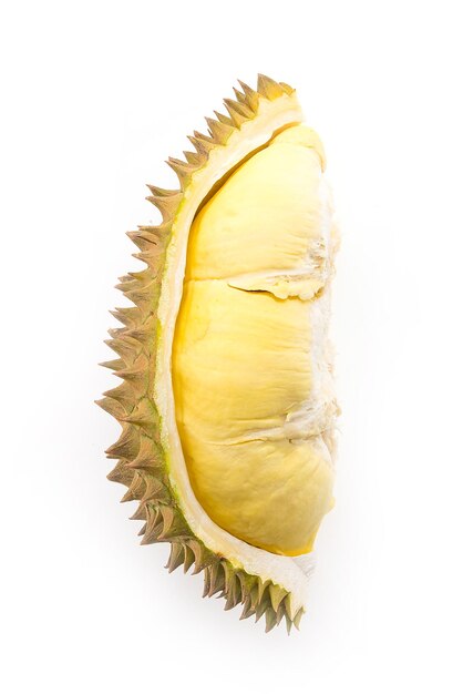 Owoce durian wyizolowane na białym tle