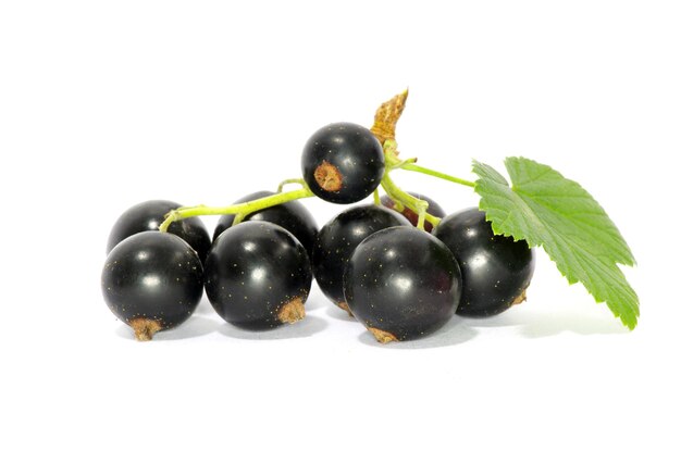 owoce koronki
