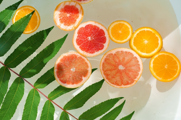 Owoce Pomarańczy, Cytryny, Grejpfruta W Wodzie Z Zielonymi Liśćmi