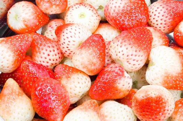 Owocowa truskawka jagodowa czerwona w pucharze Odizolowywający na bielu