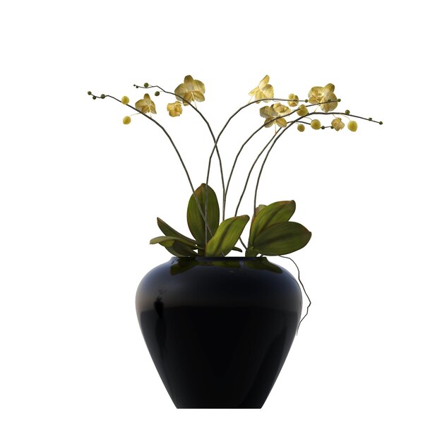 ozdobne kwiaty i rośliny do wnętrz, izolowane na białym tle, ilustracja 3D, cg