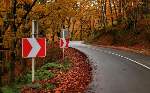 Zdjęcie oznaki strzałki na poboczu drogi pośród drzew w lesie jesienią