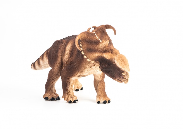 Pachyrhinosaurus Dinozaur Na Białym Tle