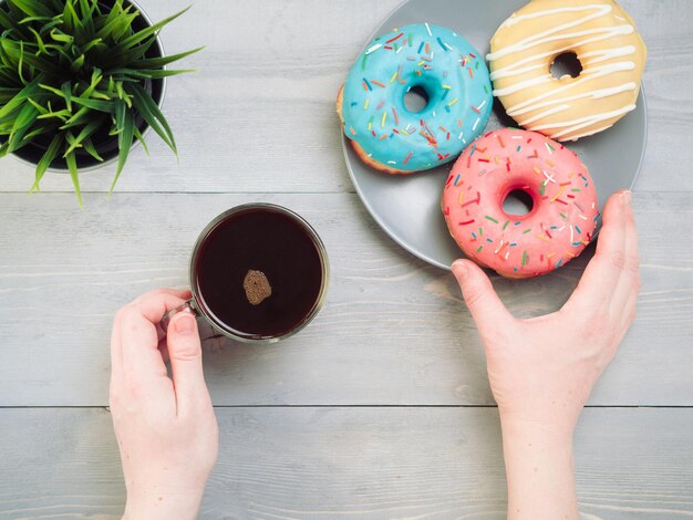 pączki na niebieskim tle kopiować przestrzeń widok górny