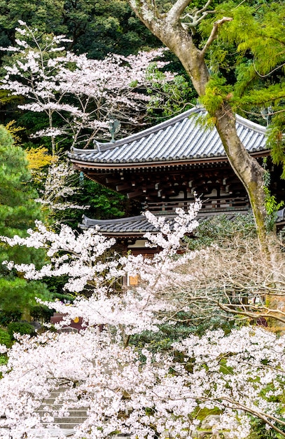 Pagoda Japansese