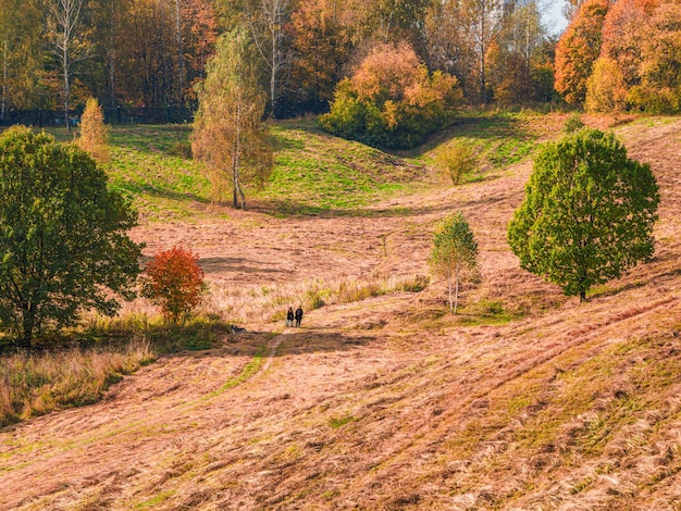 Zdjęcie pagórkowaty krajobraz jesień z krętą ścieżką przez pole.