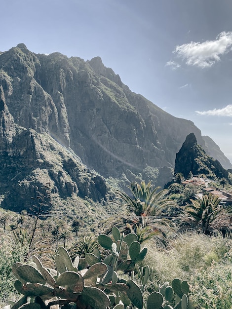 Paisaje de montanas en un dia soleado