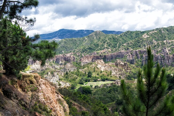 Paisaje de montañas y valle de pinos