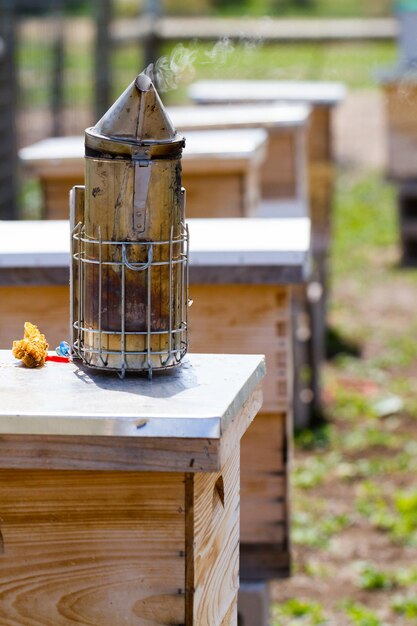 Palacz dla pszczelarza do zarządzania ulem pszczelim.