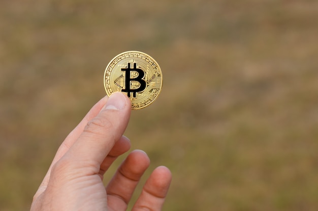 Palce człowieka trzymają dużą okrągłą złotą monetę bitcoin przed żółto-zielonym wzorem.