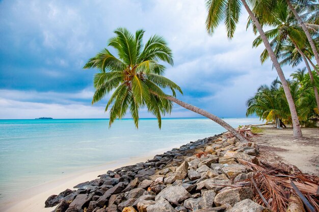 Palm Water i widok na plażę na wybrzeżu Malediwów