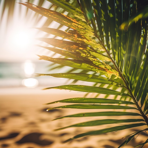 Palma na plaży, na której świeci słońce.